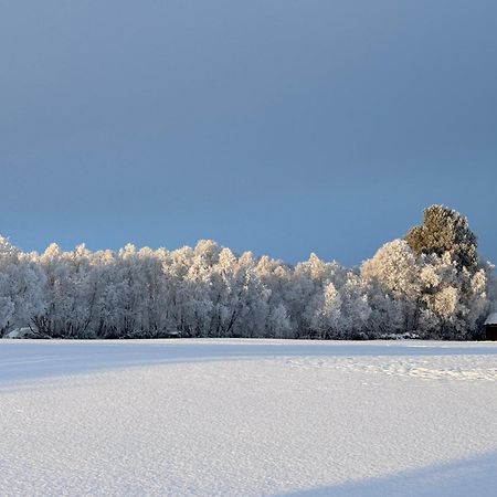Escapade Norvegienne Daire Tolga Dış mekan fotoğraf