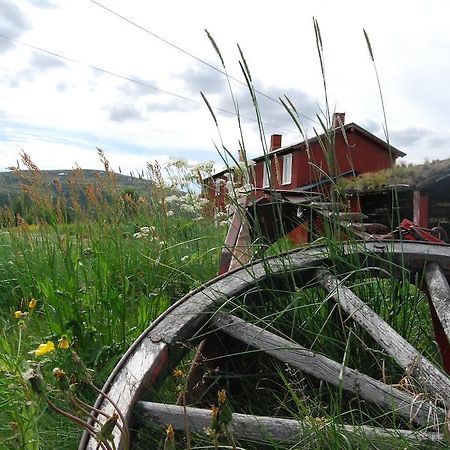 Escapade Norvegienne Daire Tolga Dış mekan fotoğraf