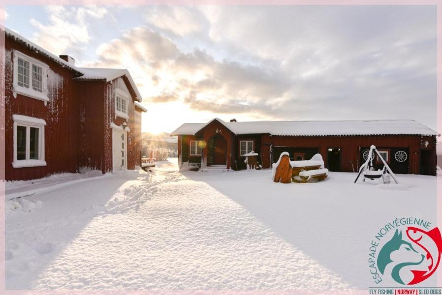 Escapade Norvegienne Daire Tolga Dış mekan fotoğraf
