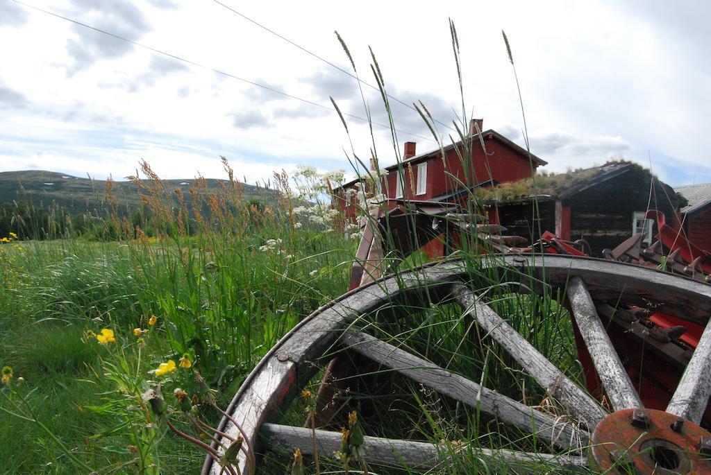 Escapade Norvegienne Daire Tolga Dış mekan fotoğraf